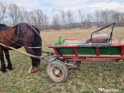 Iapa de 5 ani Foarte cuminte si ascultatoare