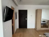 Brancoveanu the park ttneretului