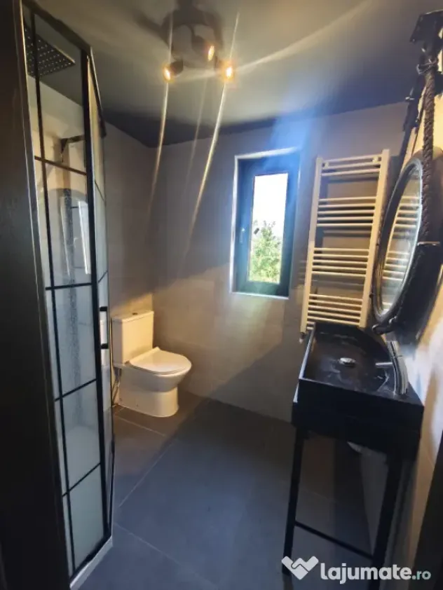 Spatiu comercial de inchiriat, 235mp, Radauti