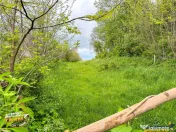 FILM! Teren intravilan, 6.500 mp, Papauti, Covasna 