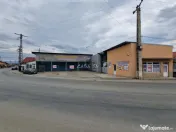 De Vanzare Spalatorie Auto + Anexe si Teren Aferent, Strada 