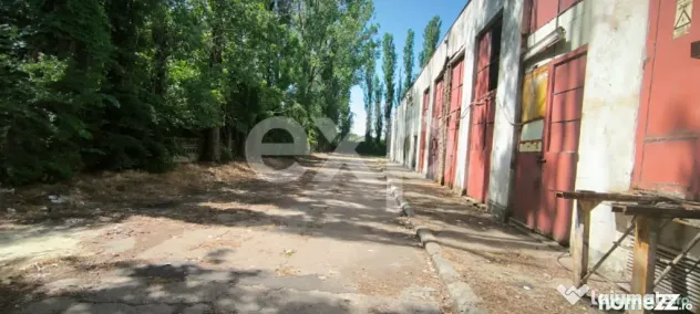 GIURGIU | Hala 5.000 mp | Acces TIR | Parcare TIR | Inaltime