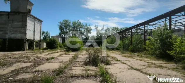 GIURGIU | Hala 5.000 mp | Acces TIR | Parcare TIR | Inaltime