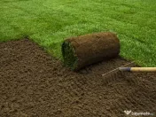 Servicii intretinere spatii verzi si gradini 