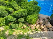 Servicii intretinere spatii verzi si gradini 