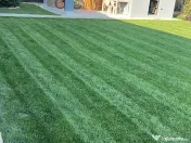 Servicii intretinere spatii verzi si gradini 