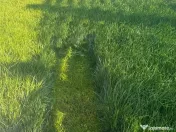 Servicii intretinere spatii verzi si gradini 