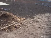 Servicii intretinere spatii verzi si gradini 