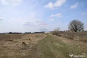 Teren 2,900mp Scheia / Strada Humorului 