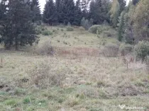 Vand teren 7000 mp in comuna Panaci jud. suceava, intr-o oază de liniște