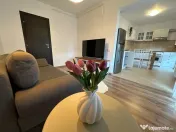Apartament 2 camere Metalurgiei Brown Residence | loc par... 