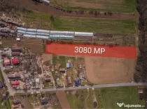 NUCI - BALTA NEAGRA, LOT 3080 MP, LA PADURE!