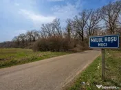 NUCI - BALTA NEAGRA, LOT 3080 MP, LA PADURE! 