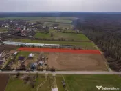 NUCI - BALTA NEAGRA, LOT 3080 MP, LA PADURE! 