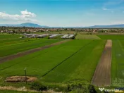 FILM! Teren extravilan 5.000 mp in zona linistita cu acces f 