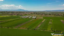 FILM! Teren extravilan 5.000 mp in zona linistita cu acces f