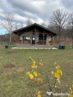 Casă de vacanță premium de vanzare în Breaza-intimitate,