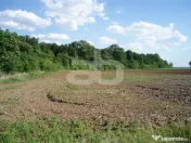 OCAZIE!!! Teren lipit de pădurea SNAGOV cu acces foarte facil la DN1 