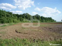 OCAZIE!!! Teren lipit de pădurea SNAGOV cu acces foarte facil la DN1