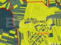 Teren intravilan 9600 mp, Bucovat!