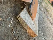 Plug sarbesc 3 brazde 