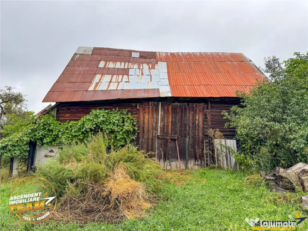 FILM! 2 case,domeniu de 1.660mp, cu atelier,anexe,Lemnia,Co