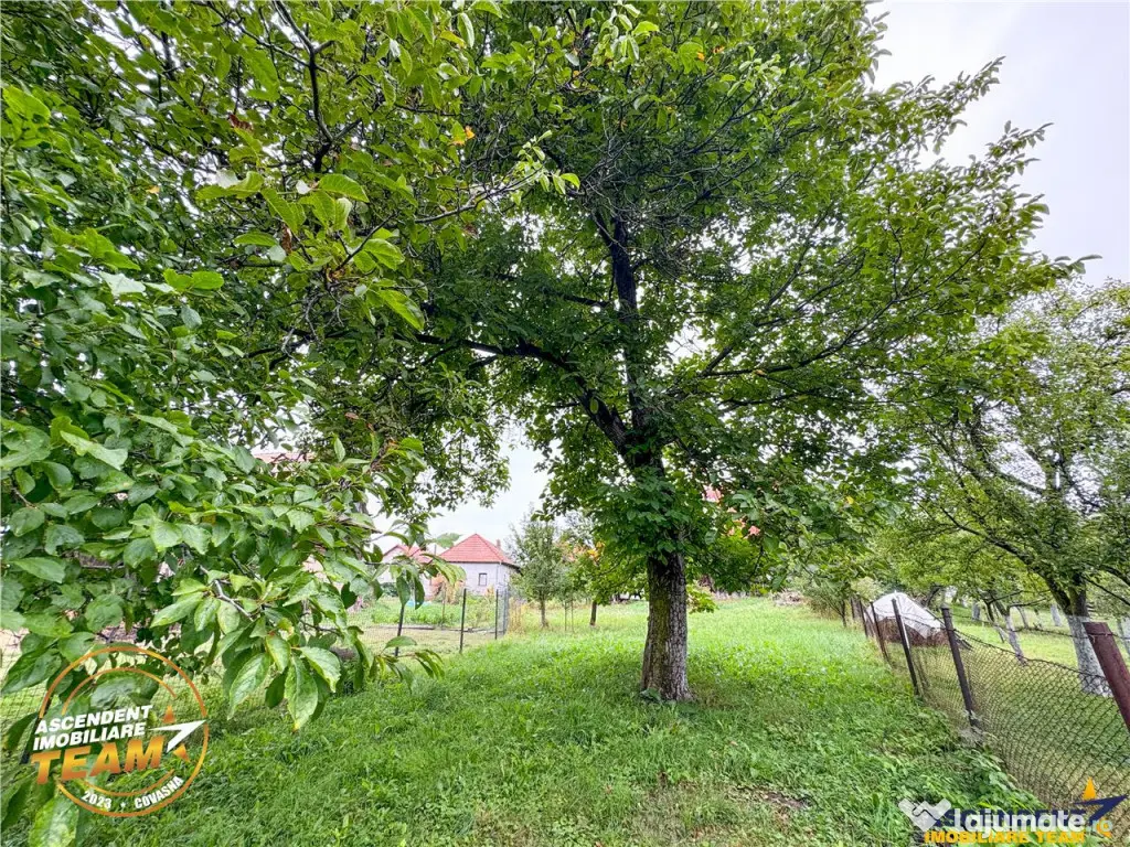 FILM! 2 case,domeniu de 1.660mp, cu atelier,anexe,Lemnia,Co