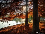 Parcul Carol - Tineretului - 2 camere si 40mp curte 