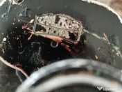 Binoclu militar Carl Zeiss Jena 10x50 