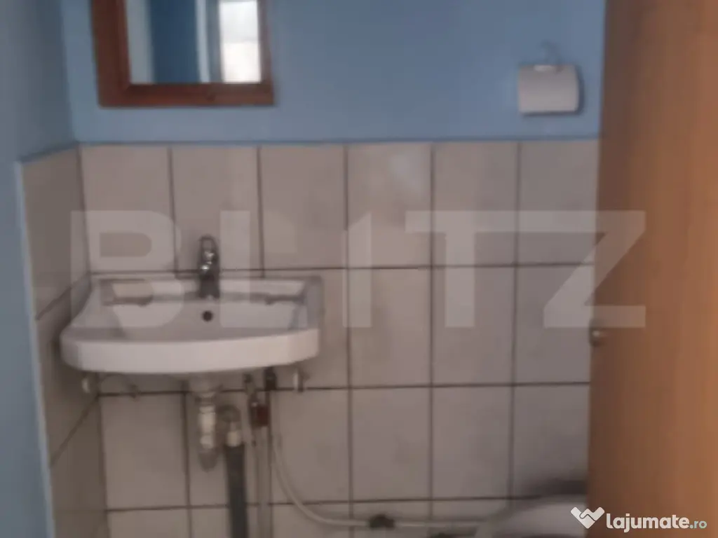 Hala moderna/depozitare, 720 mp, zona Mihai Bravu