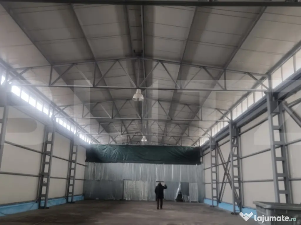 Hala moderna/depozitare, 720 mp, zona Mihai Bravu