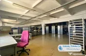 Antony Estate | Hala - 2020 mp, Borsului - Oradea 