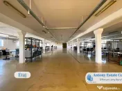 Hala Productie - Depozit de , Borsului - Oradea 