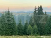 Teren intravilan, front la strada, 3321mp, utilitati, Marise 