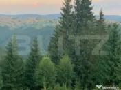 Teren intravilan, front la strada, 3321mp, utilitati, Marise 