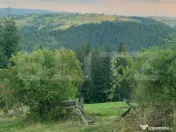 Teren intravilan, front la strada, 3321mp, utilitati, Marise 