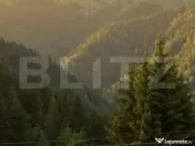 Teren intravilan, front la strada, 3321mp, utilitati, Marise 