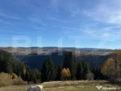 Teren intravilan, front la strada, 3321mp, utilitati, Marise 