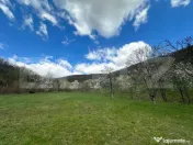 Teren 1 ha lângă casă, acces asfalt, zonă liniștită 