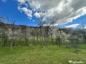 Teren 1 ha lângă casă, acces asfalt, zonă liniștită 