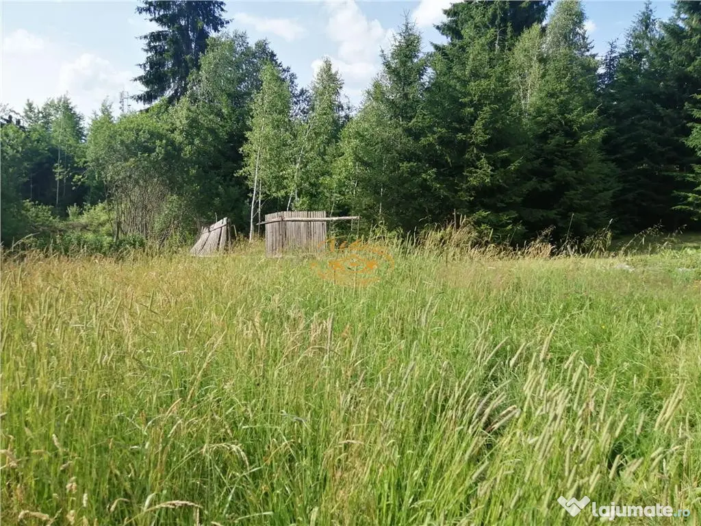 Teren intravilan in Izvoru Muresului str. Taberei