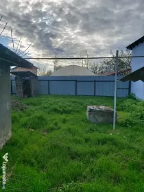 Vand casa in Rosiori de vede