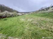 Teren intravilan Deva- Roci 