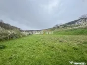 Teren intravilan Deva- Roci