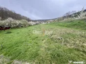 Teren intravilan Deva- Roci