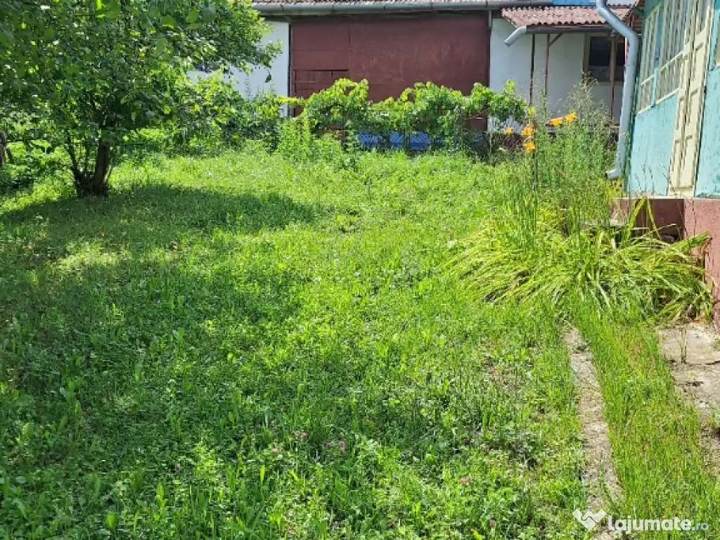 De vanzare casa teren 6000mp sat Tioltiur com. Cornesti jud. Cluj