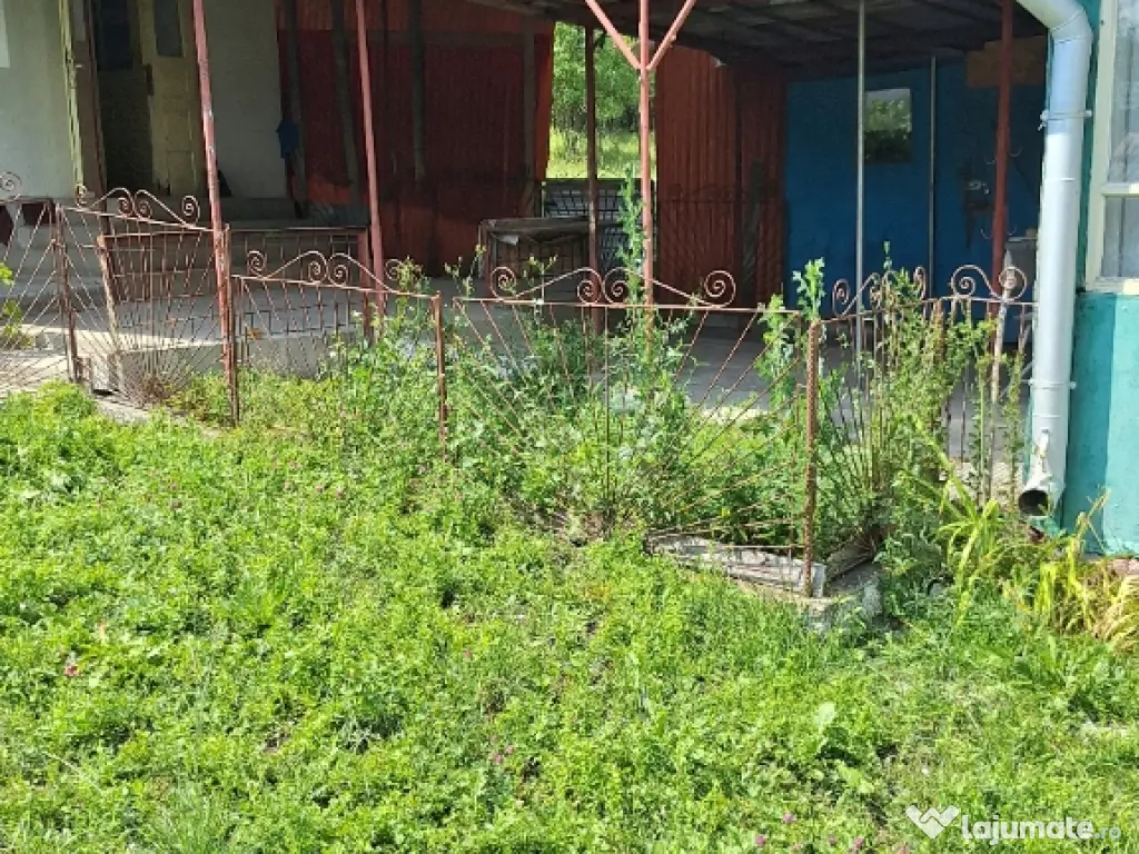 De vanzare casa teren 6000mp sat Tioltiur com. Cornesti jud. Cluj