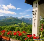 Pensiune:3 km de Castelul Bran, 2.900mp teren, aviz ISU, pre