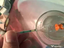 Vând tuica de pruna