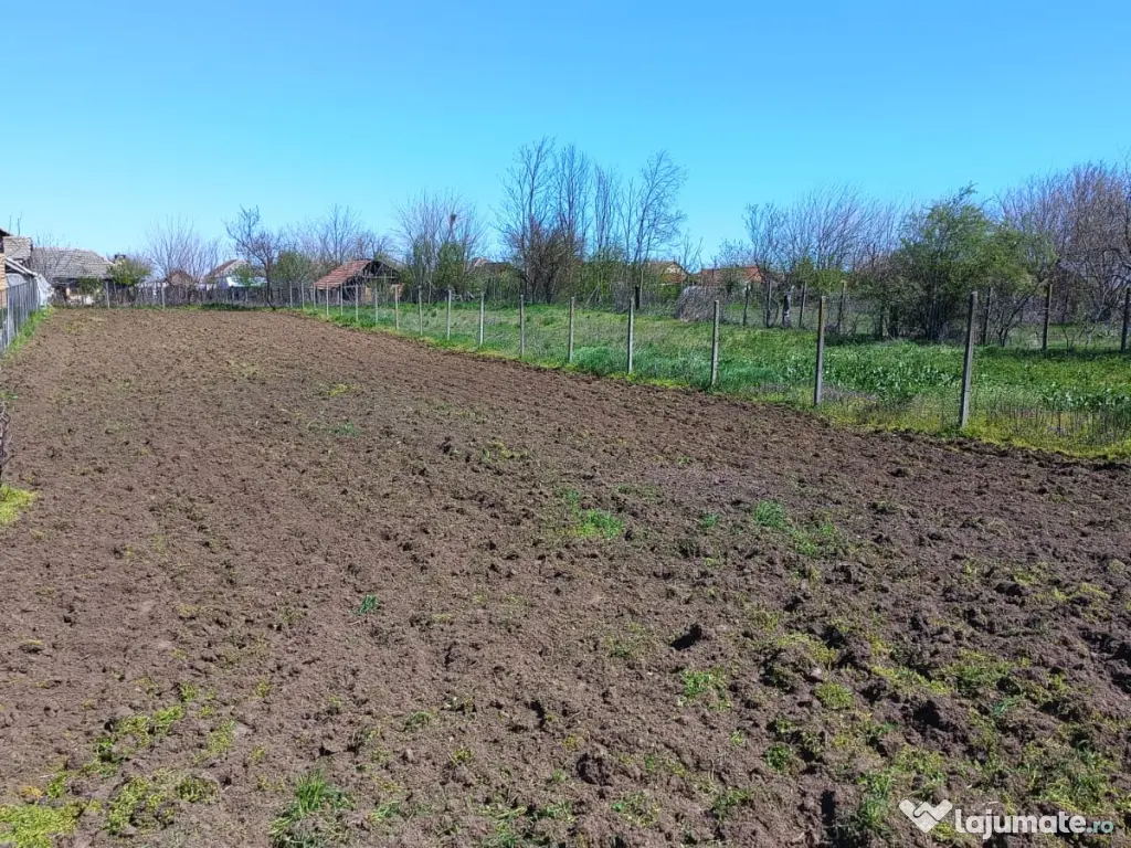 Casa si teren de vânzare - Ciupercenii Noi, jud Dolj